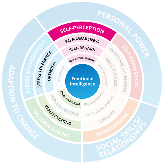 EQ-i 2.0 Motivation