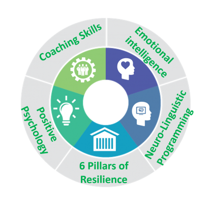 5 Frameworks For Success